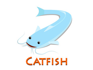 Catfish isolated on white in flat design, vector