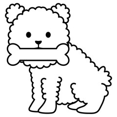 little dog adorable with bone