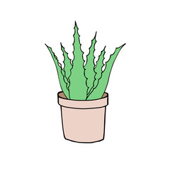 Vector green hand drawn sketch doodle aloe vera in flower pot isolated on white background 