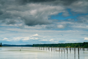 Paddle Board Puget Sound