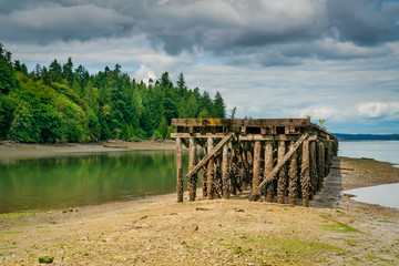 Abandoned Dock Puget Sound