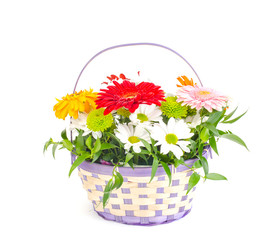 Basket with beautiful flowers isolated on white background