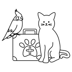 cute cat and bird mascots with medical kit