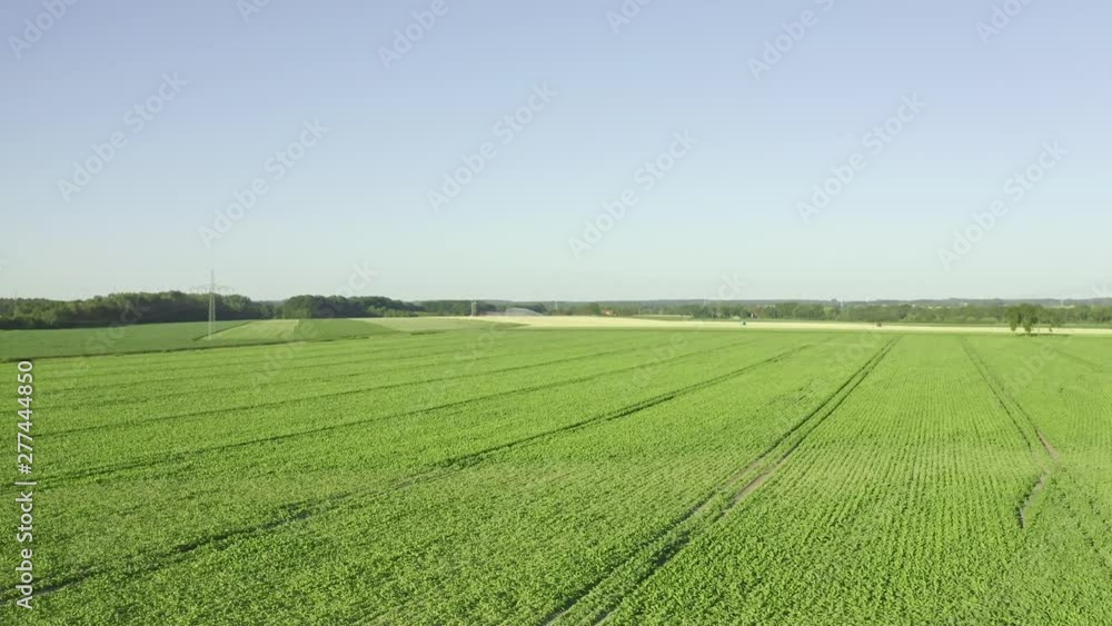 Poster Aeria view of farmland. Drone flying above green open fields and next to trees.