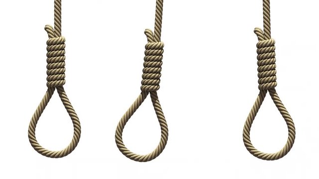Hangman's nooses, 3D animation on white background with alpha matte. Three ropes with knots for suicide or execution by hanging are swinging from side to side like a pendulums, seamless loop.