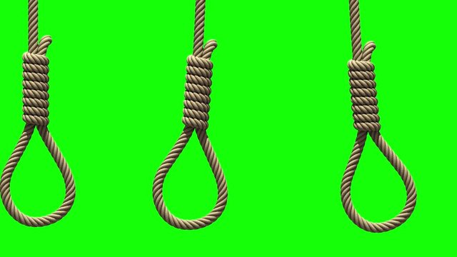 Camera movement along Hangman's nooses, 3D animation on green screen. Ropes with knots for suicide or execution by hanging are swinging from side to side like a pendulums, seamless loop.
