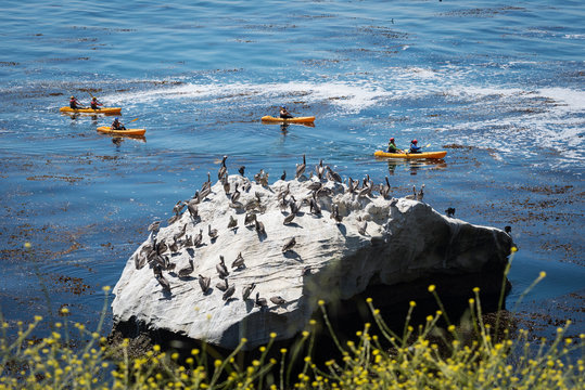 Kayakers at Dinasaur Caves Park, Pismo Beach, Ca