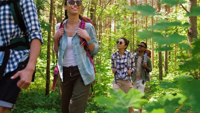 travel, tourism, hike and people concept - group of friends walking with backpacks in forest
