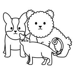 little dogs and cat adorables mascots characters