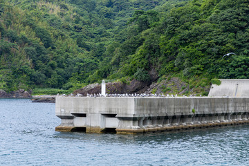 海岸　リアス式　ジオパーク　かもめ　堤防 島根