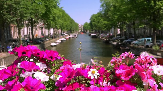 Panoramic view of Amsterdam canal from bridge decorated by flowers. City waterway with streets and buildings on both sides of water and bright sun shining in background. Sightseeing on sunny day.