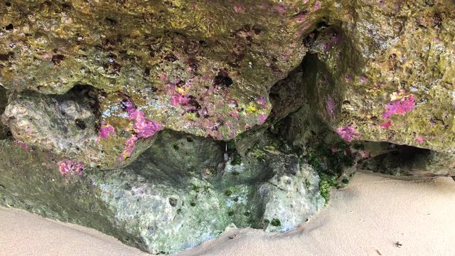 Purple and grey rocky mountain cave dripping water at the Green Bowl beach in Uluwatu Bali Indonesia