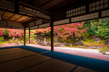 京都　高台寺塔頭　圓徳院の紅葉