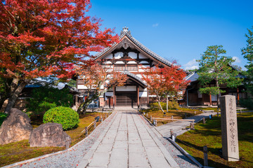 Obraz premium 京都 高台寺の紅葉