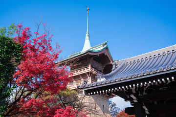 京都　祇園閣　紅葉