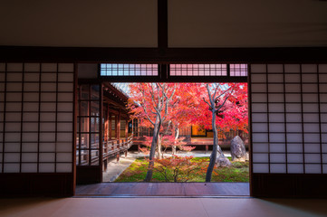 京都　建仁寺の紅葉