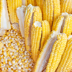 Corn