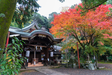 京都　粟田神社の紅葉