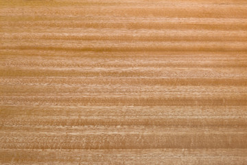 wood background