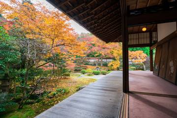 京都　泉涌寺の紅葉　
