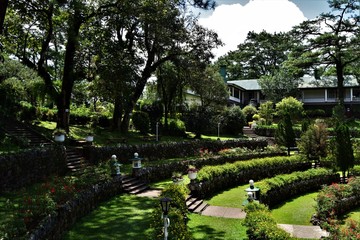 Garden Scenery in Baguio Philippines