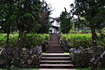 Garden Scenery in Baguio Philippines