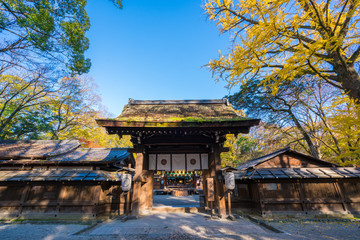 京都　秋の河合神社　
