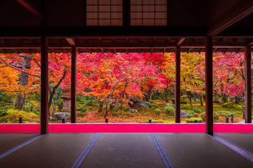 京都　圓光寺の紅葉　　