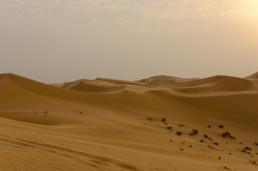 Fototapeta na wymiar arabian desert