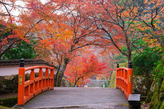34 Best 京都大原三千院 Images Stock Photos Vectors Adobe Stock 34 Best 京都大原三千院 Images Stock Photos Vectors Adobe Stock
