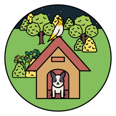 little dog adorable with wooden house and bird in the park