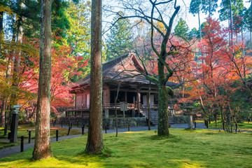 京都大原　三千院の紅葉　往生極楽院