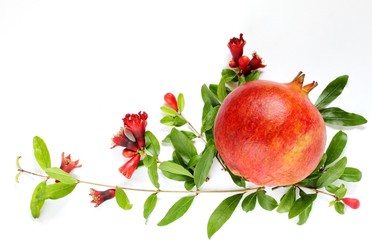 ripe pomegranate with pomegranate flowers and leaves on a light background