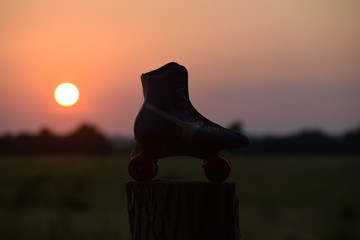 Roller Skate