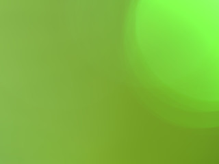 Abstract  blur  background of green color with soft and sweet  tones boke