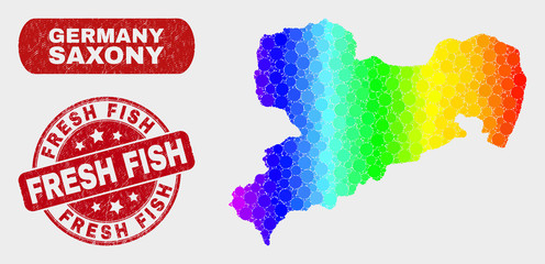 Rainbow colored dot Saxony Land map and stamps. Red rounded Fresh Fish textured stamp. Gradiented rainbow colored Saxony Land map mosaic of randomized circle elements.