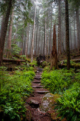 Green Lake trail