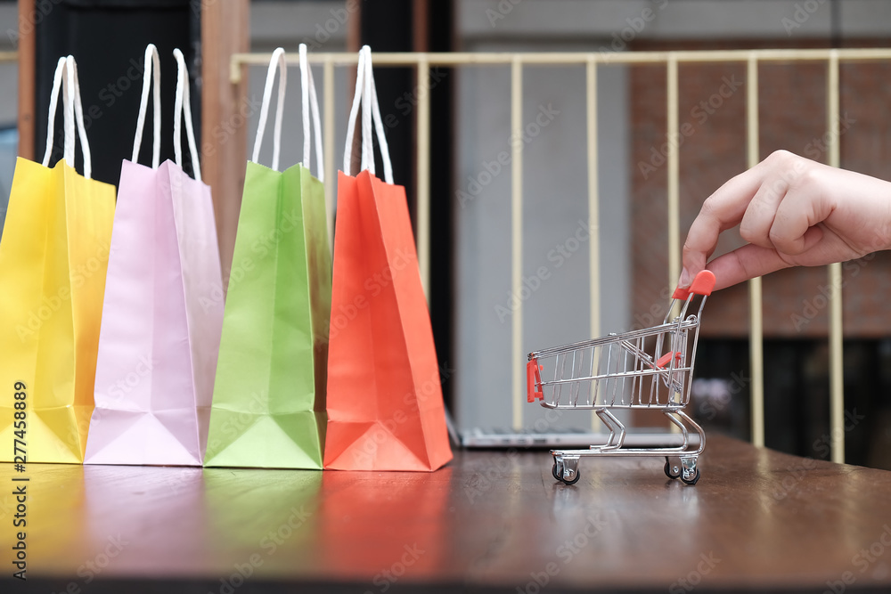 Wall mural woman shopping cart with laptop for internet online shopping concept.