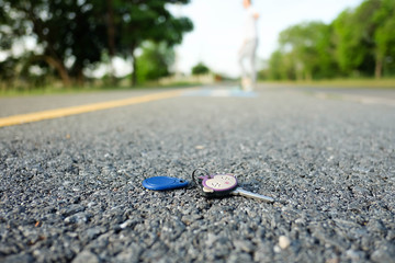 The woman who made the house key was dropped in the park.