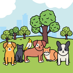 cute group of mascots in the park