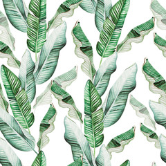 Naklejki  Beautiful watercolor seamless pattern with tropical leaves and banana leaves. 
