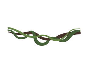 Tropical Winding Liana Stems, Vines, Jungle Plant Decorative Element, Rainforest Flora Vector Illustration © topvectors