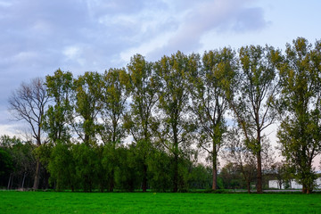 Obraz premium Natural Sunset or Sunrise Over Field Or Meadow with a Bright Dramatic scenic and colorful Sky against a Dark Ground.