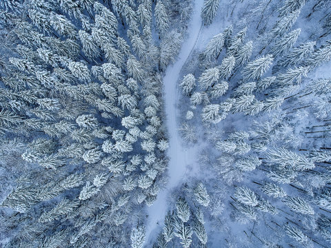 View from up of beautiful and wild forest full of snow in winter time with a wild road in the middle