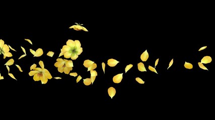 3D animation of a flower petals flow with alpha layer