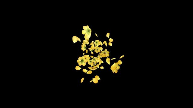3D animation of a flower petals flow with alpha layer