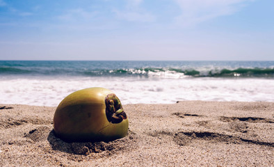 un coco en la playa