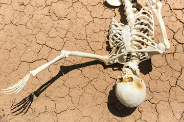 Skeleton parched and dead of thirst on cracked mud in the desert