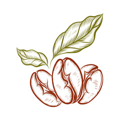 coffee beans logo