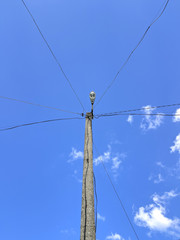 electric pole power lines and wires with blue sky.
